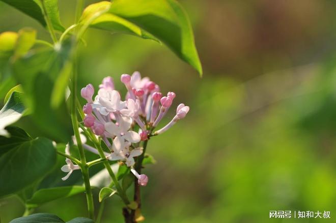 关系再好也不要轻易收别人的这3类礼物不是迷信